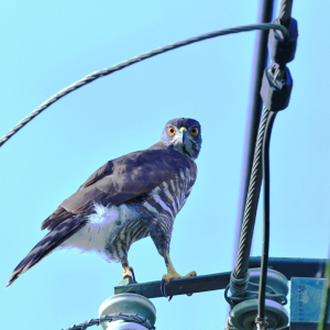 01IMG_9166