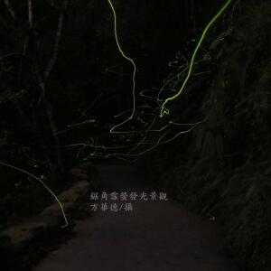 鋸角雪螢發光景觀_青龍步道---縮圖