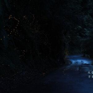 發光景觀--縮圖